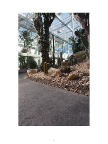 Stamped Concrete 第 10 页