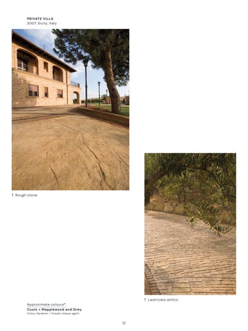 Stamped Concrete 第 14 页