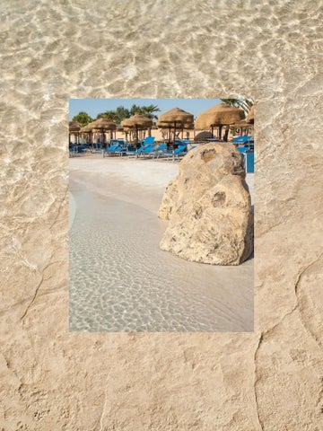 Stamped Concrete 第 20 页