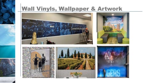 Bluespace Expanded Offerings 第 15 页