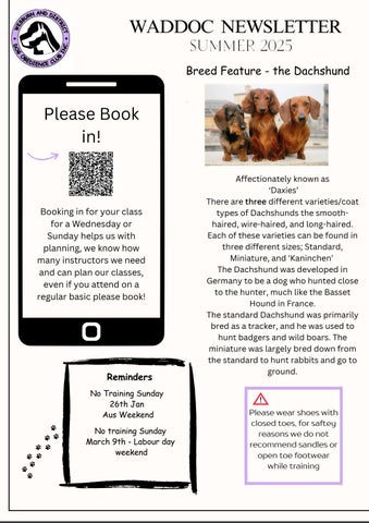 Waddoc Newsletter Summer 2025 