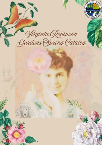 Peach and Pink Antique Garden Party Poster