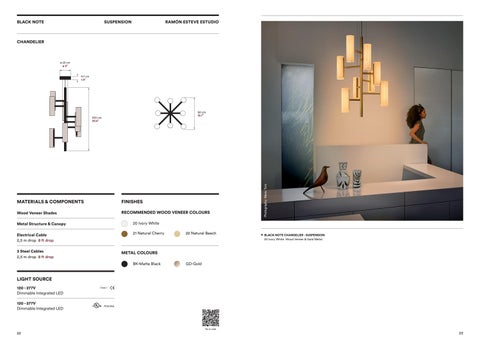 Diez Company LZF Lamps - 灯饰目录 第 13 页
