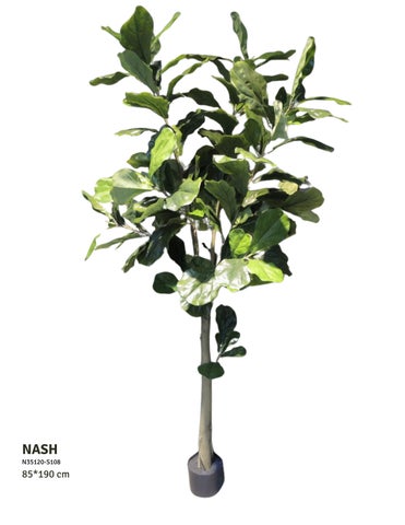 Indoor Faux Plants 第 11 页