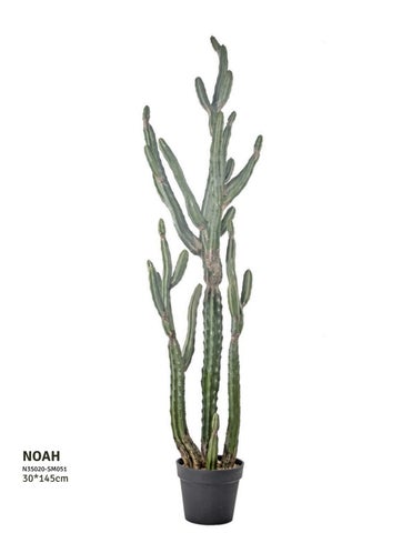 Indoor Faux Plants 第 6 页