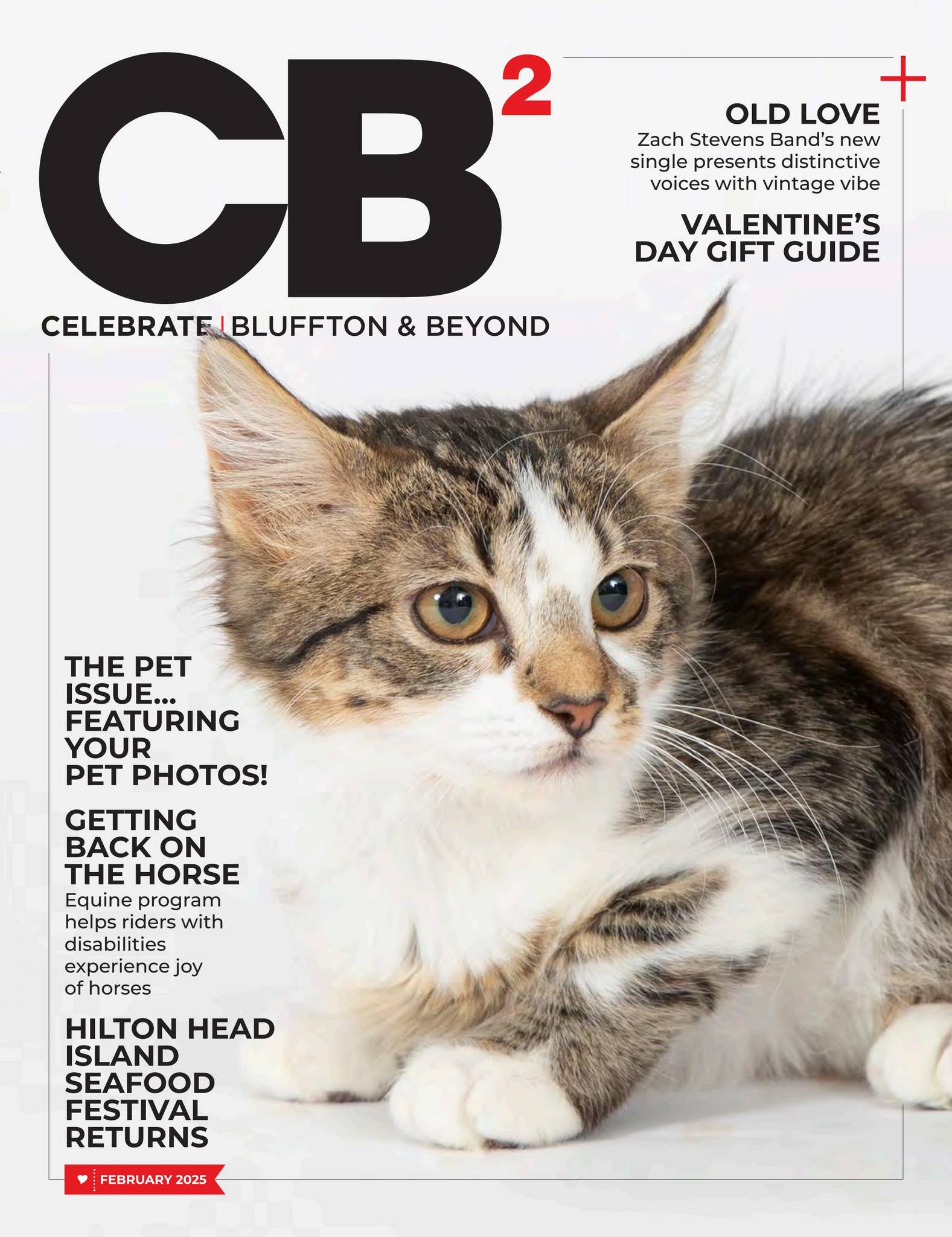 CB2 MAGAZINE FEBRUARY 2025 by CH2/ CB2 : Celebrate Hilton Head ...