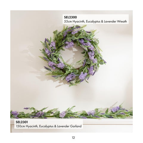 SEL New Arrivals January 2025 第 12 页