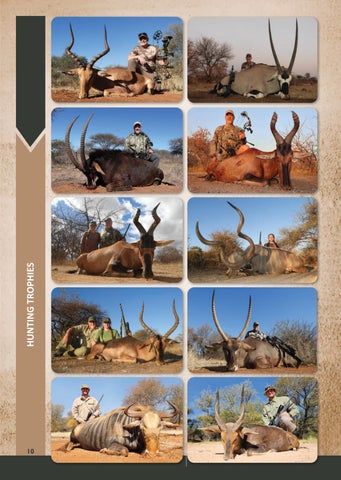 Eland Safaris 2025 第 10 页
