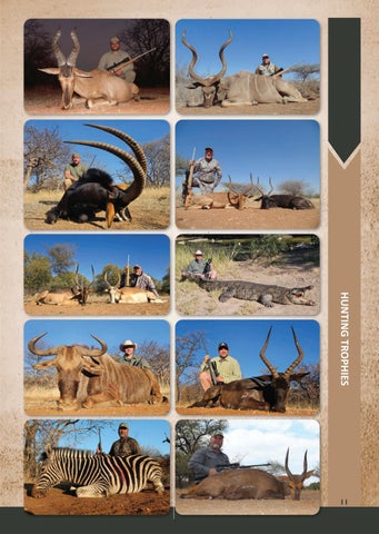 Eland Safaris 2025 第 11 页