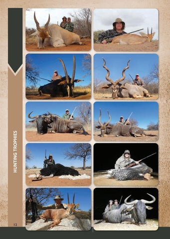 Eland Safaris 2025 第 12 页
