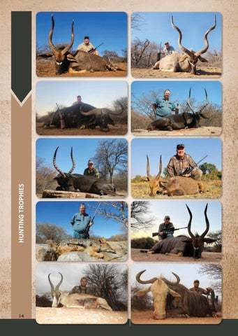 Eland Safaris 2025 第 14 页