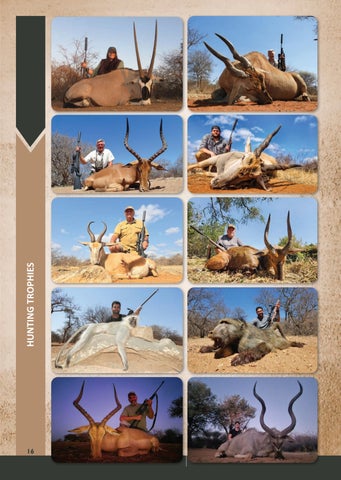 Eland Safaris 2025 第 16 页