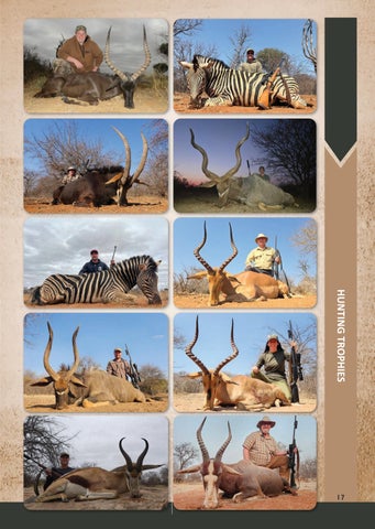 Eland Safaris 2025 第 17 页