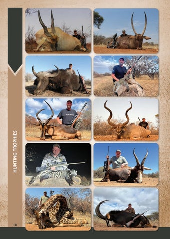 Eland Safaris 2025 第 18 页
