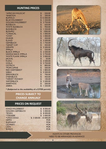 Eland Safaris 2025 第 6 页