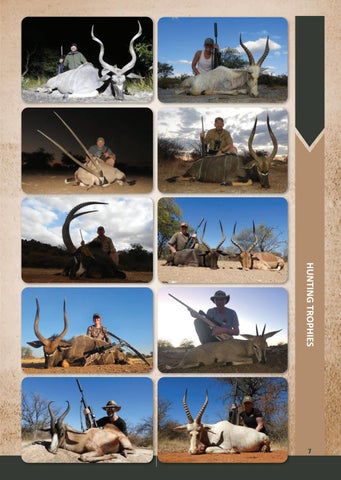 Eland Safaris 2025 第 7 页