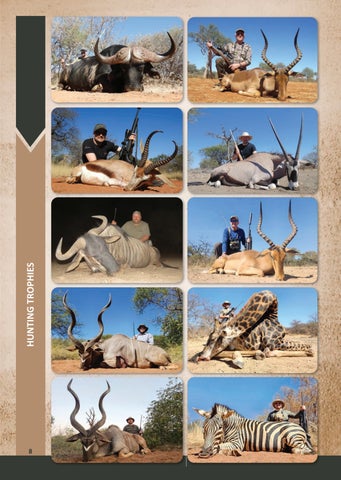 Eland Safaris 2025 第 8 页