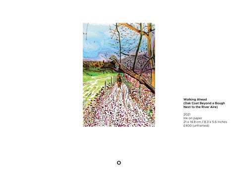PHILL HOPKINS WALKING AHEAD WORKS ON PAPER 第 12 页