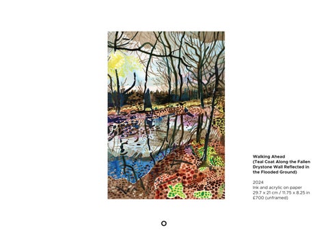 PHILL HOPKINS WALKING AHEAD WORKS ON PAPER 第 19 页