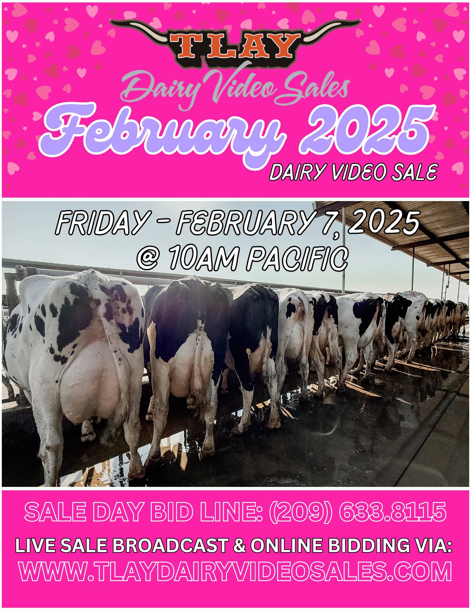 FEBRUARY 2025 DVS CATALOG by TURLOCK LIVESTOCK AUCTION YARD Issuu