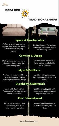 Sofa Bed vs. Traditional Sofa: Which One is Right for You?