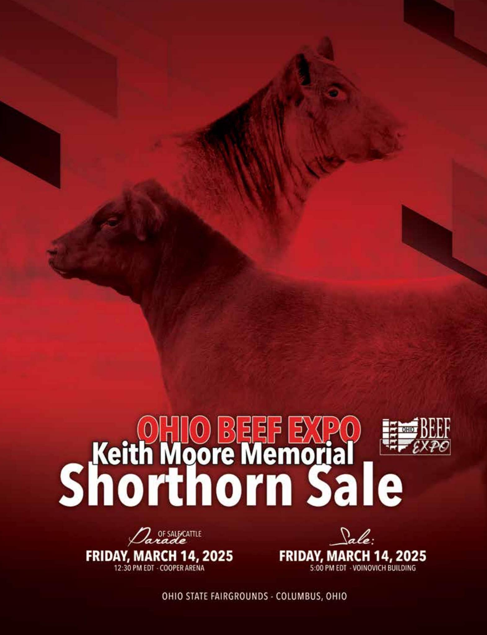 Ohio Beef Expo Shorthorn Sale 2025 by SCI Stephanie Cronin, INC Issuu