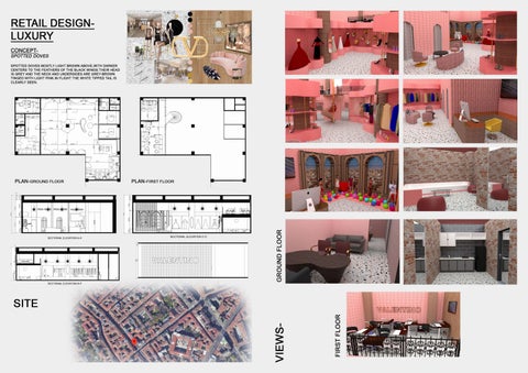 Anoushka braganza 家具目录 · 室内 portfolio 第 4 页