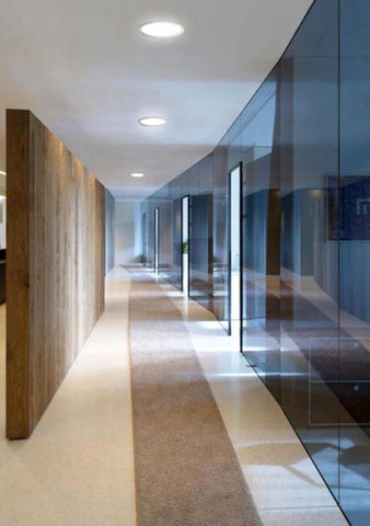Downlights 第 11 页