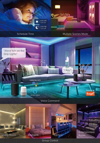 LED Strip, Controllers, Drivers 第 13 页