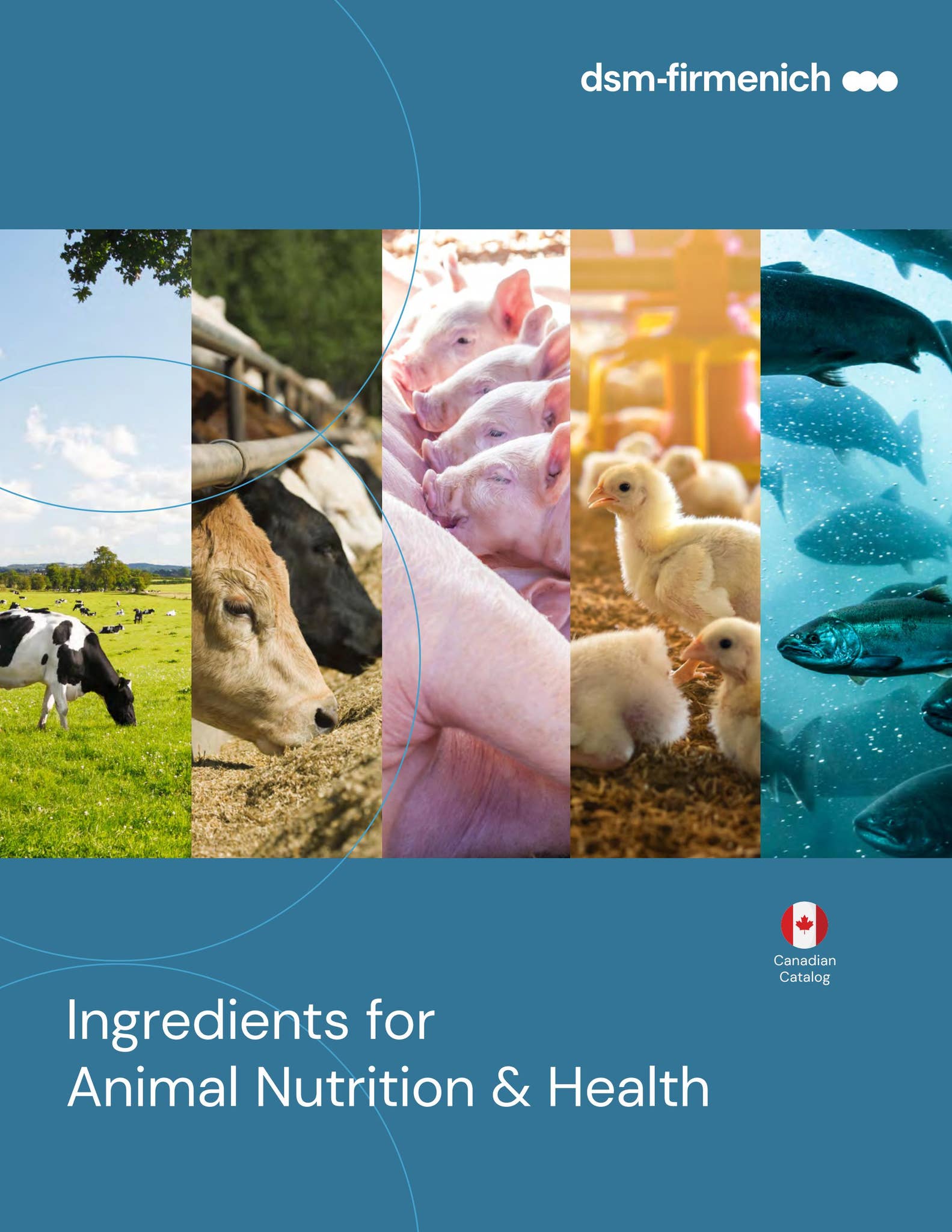 Canada Product Catalog dsmfirmenich Animal Nutrition & Health by dsm