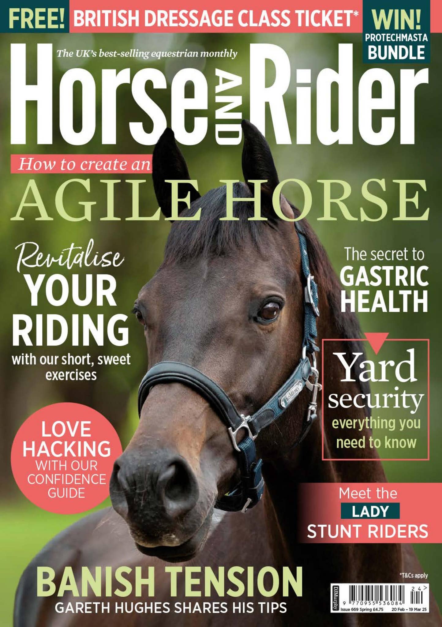 New Riders Publishing Horse&Rider Magazine - Spring 2025 by DJ Murphy (Publishers) Ltd - Issuu