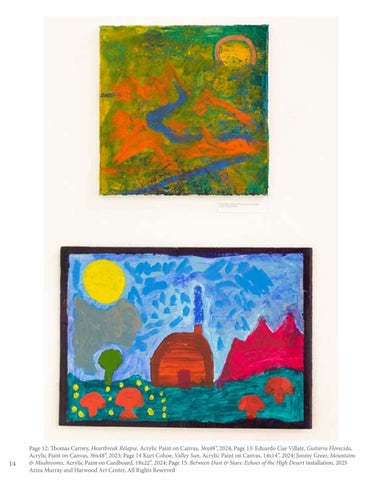 Between Dust × Stars: Echoes of the High Desert Exhibition 灯饰目录 第 14 页