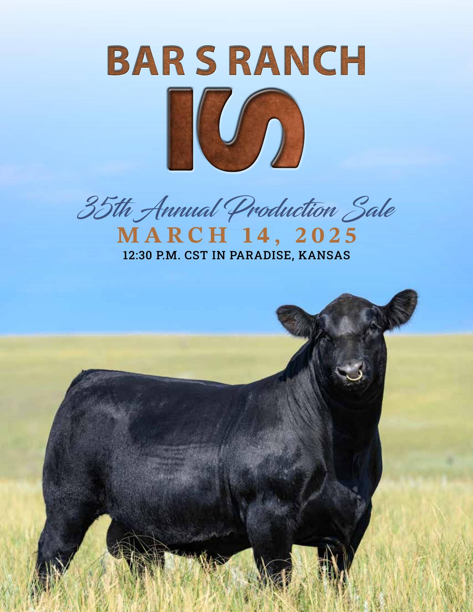 2025 Bar S Ranch Production Sale by Megan Favorite - Issuu