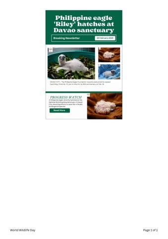 Riley – newest Philippine Eagle hatchling