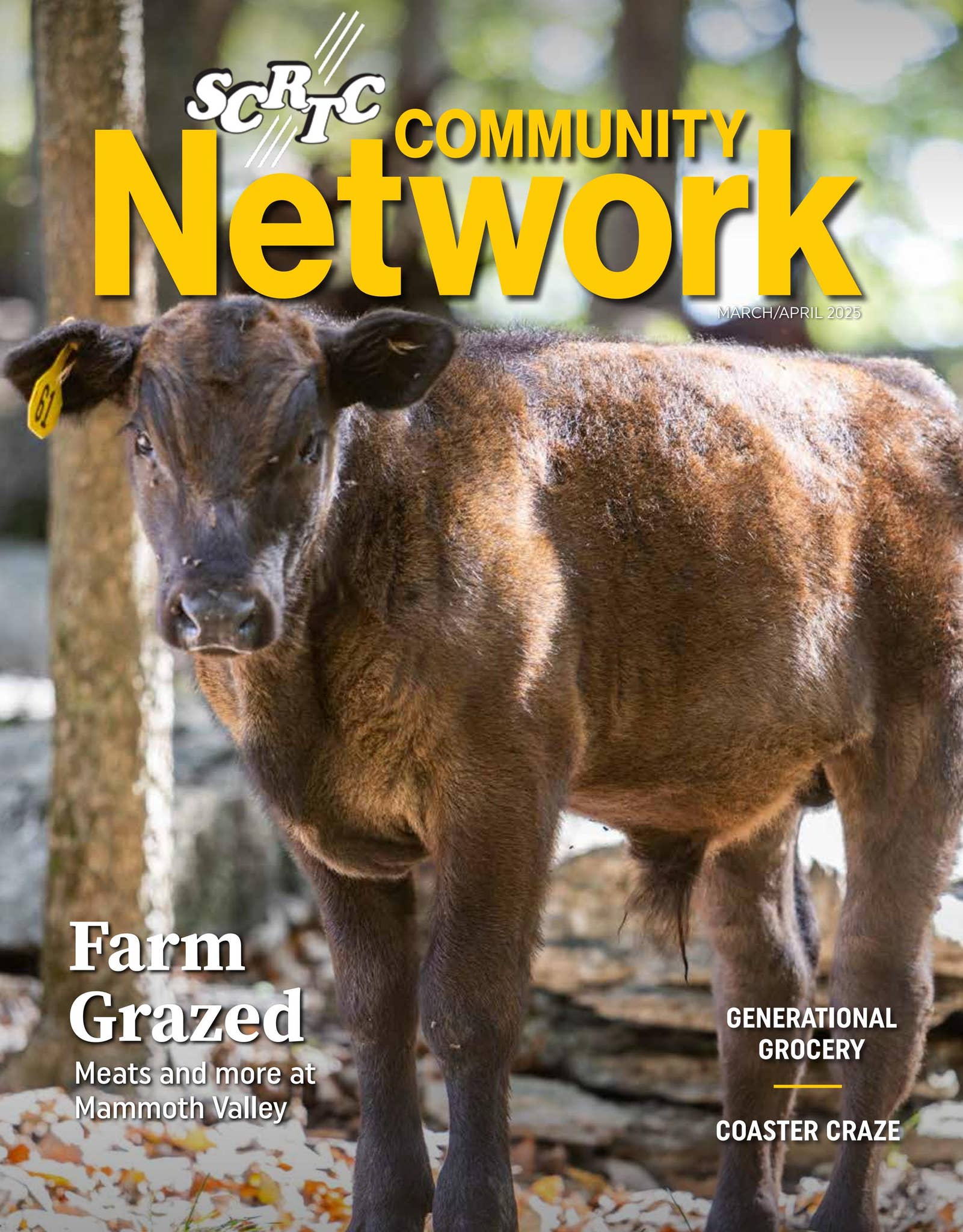 SCRTC Community Network March/April 2025 by utilitypioneers - Issuu
