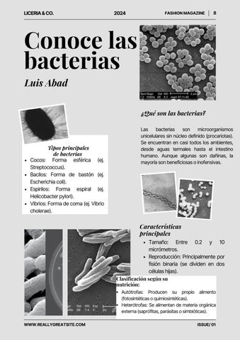 Black and White Photo Collage Magazine Page A4 Documnet