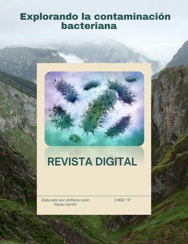 Revista Digital