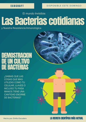 El Mundo Invisible: Bacterias Cotidianas y Nuestra Resistencia Inmunológica