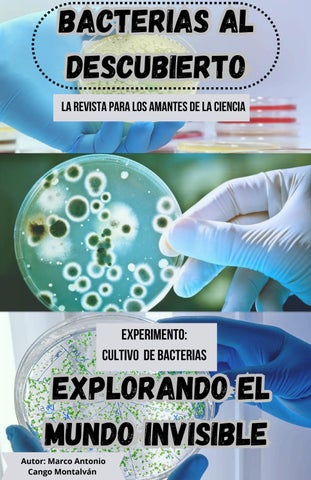 Bacterias Al Descubierto 