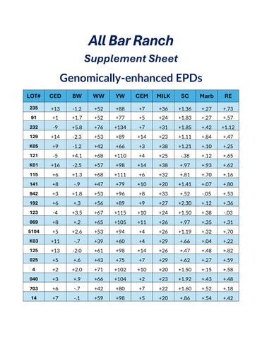 Supplement Sheet by ALLBARRANCH - Issuu