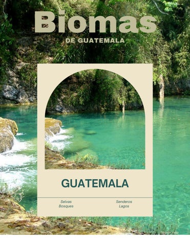 Biomas de Guatemala
