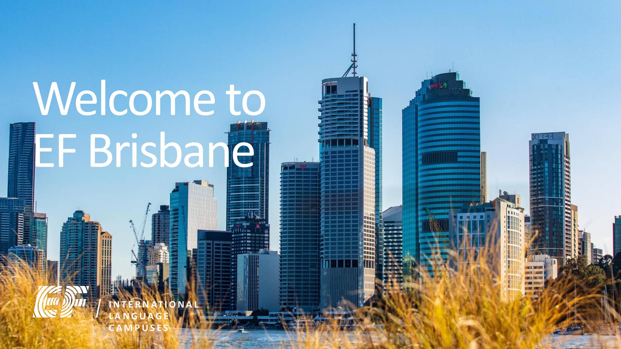 EF Brisbane by EF BD JAPAN - Issuu
