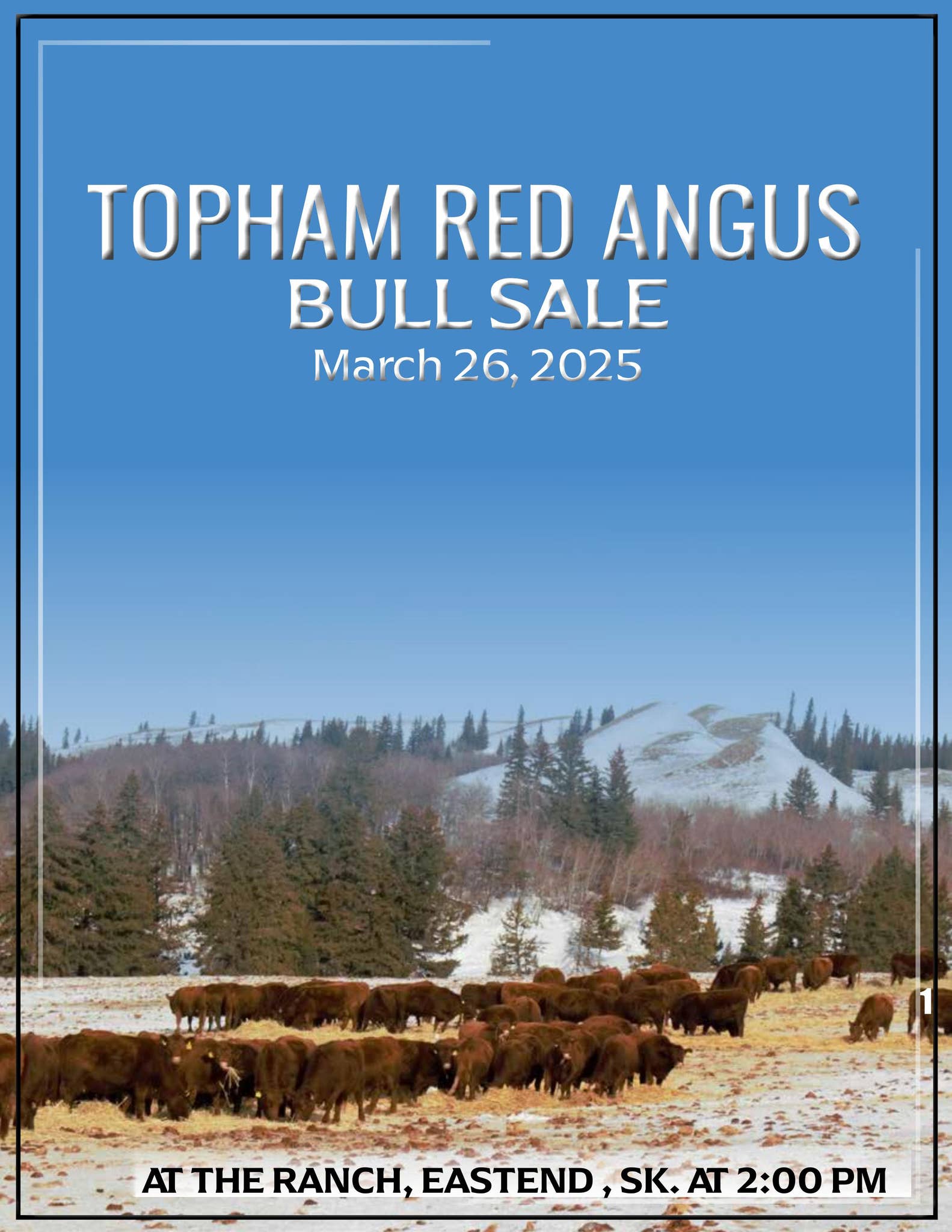 Topham Red Angus Bull Sale Catalog 2025 by KendraFisherDESIGNS Issuu