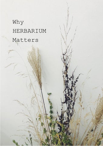 Herbarium Online Flipbook 280225