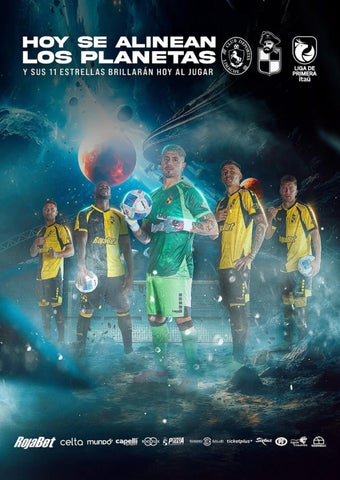 RESUMEN AURINEGRO 28/02/25