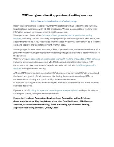 MSP lead generation & appointment setting services by tlminsidesales_22 ...