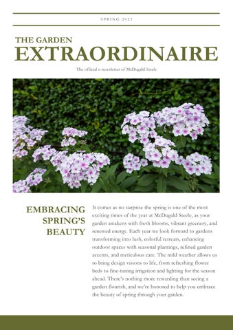 McDugald Steele Spring 2025 Newsletter