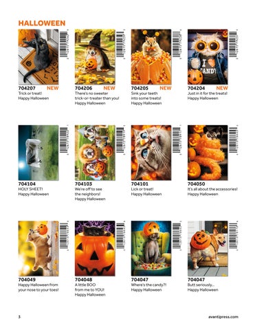 Avanti Brand 2025 Fall Holiday 灯饰目录 第 6 页