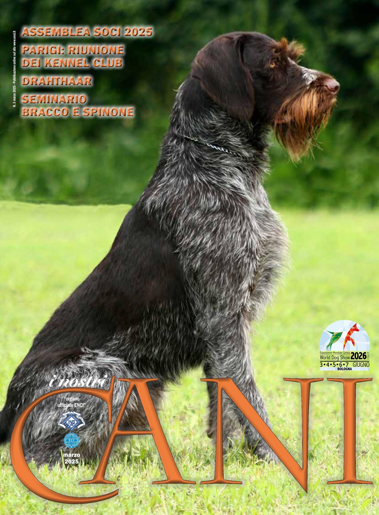 Abstracts - 2023 - Journal of Small Animal Practice - Wiley Online Library, image size:1510x2048