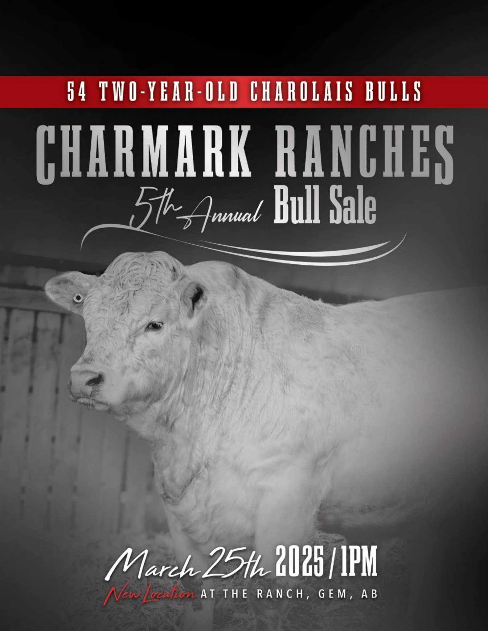 Charmark Ranches Bull Sale 2025 by Jon Wright - Issuu